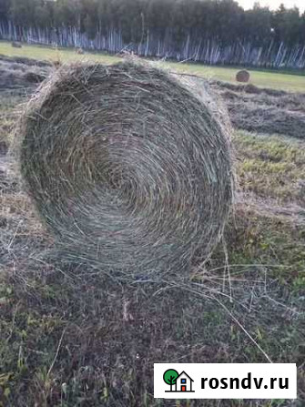 Сено, солома в рулонах и мешках Прокопьевск - изображение 1
