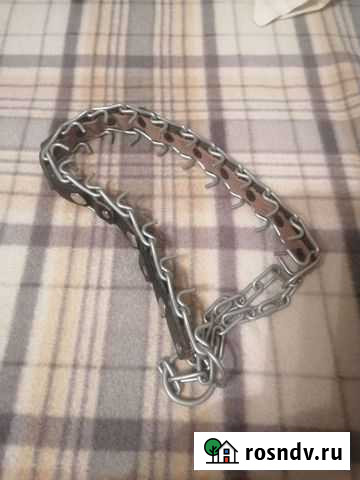 Строгий ошейник Сызрань - изображение 1