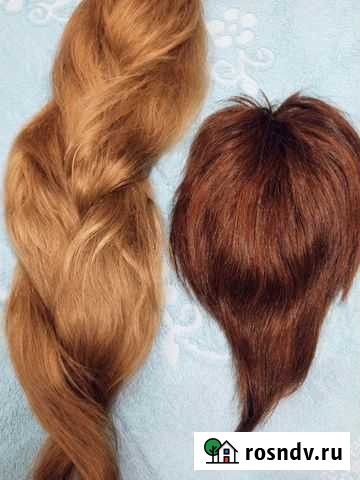 Коса и шиньон из натуральных волос Рязань - изображение 1