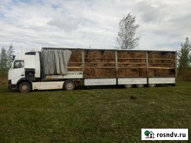 Сено с доставкой Старая Русса - изображение 1