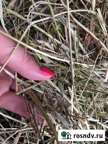 Сено Тюмень - изображение 1