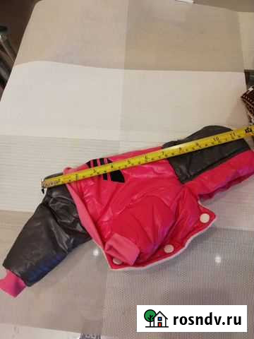 Одежда для собак (костюмы размер s) Балашиха - изображение 1