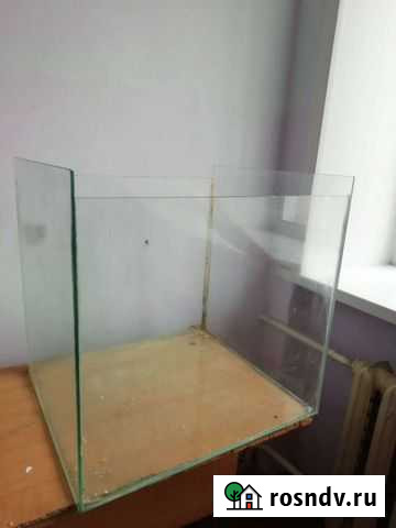 Аквариум Иркутск - изображение 1