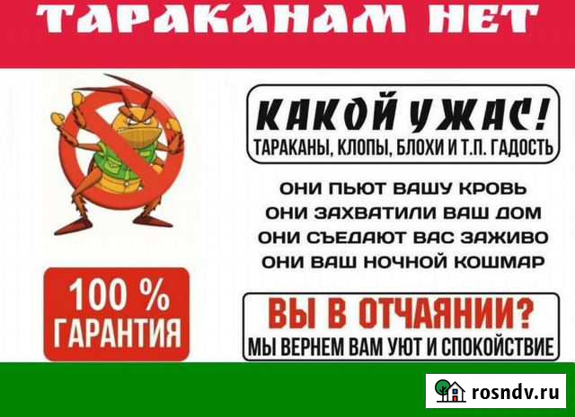 Уничтожение насекомых Братск - изображение 1