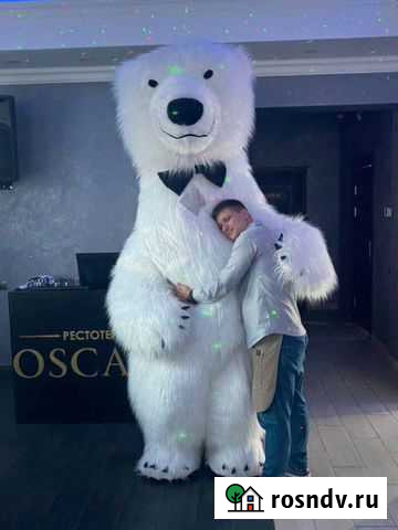 Аниматор Белый Медведь Курск - изображение 1