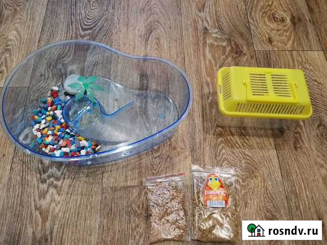 Бассейн для черепашки Норильск - изображение 1