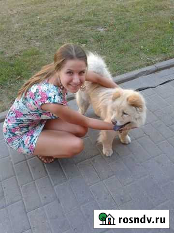 Передержка / выгул собак спб метро Парк Победы Санкт-Петербург - изображение 1