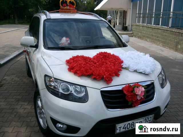Ведущая свадебная машина Нефтекамск - изображение 1