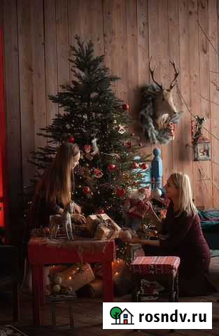 Фотограф Чита - изображение 1