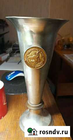 Кубок) Александров - изображение 1