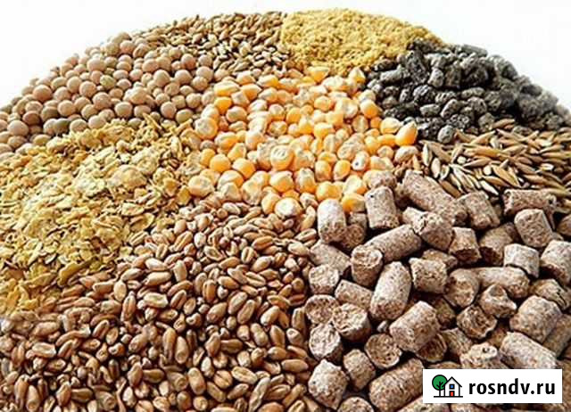 Корма для сельскохозяйственных животных Тюмень - изображение 1