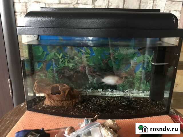 Аквариум Кунгур - изображение 1