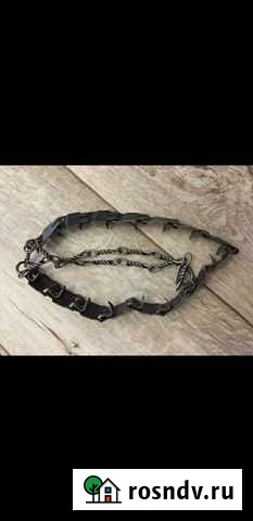 Строгий ошейник Владикавказ - изображение 1