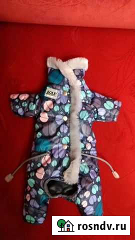 Комбинезон для собаки Краснотурьинск - изображение 1