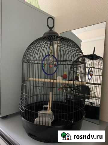 Клетка Чехов - изображение 1