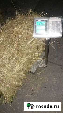 Сено брикет Прокопьевск - изображение 1