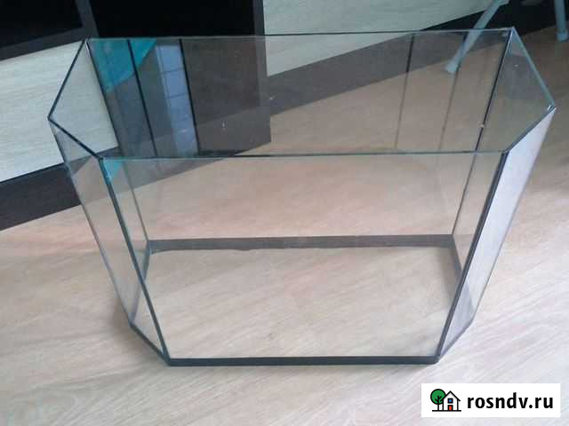 Аквариум Екатеринбург - изображение 1