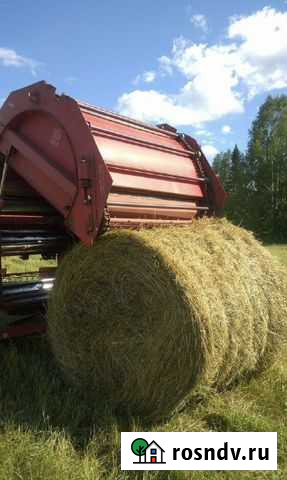 Сено Промышленная - изображение 1