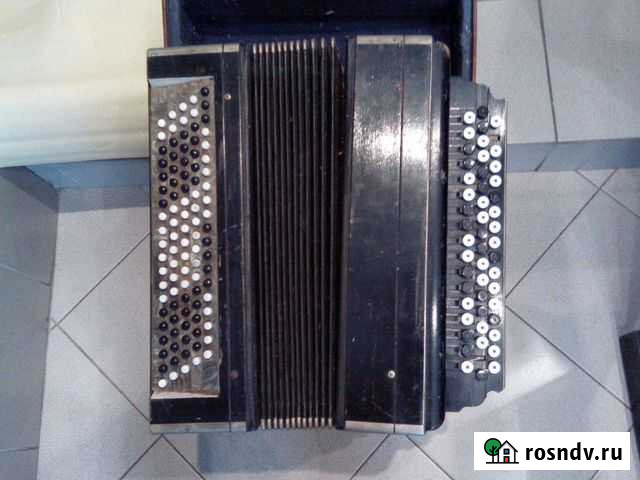 Баян Псков - изображение 1