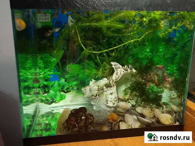 Украшение для аквариума Грозный - изображение 1