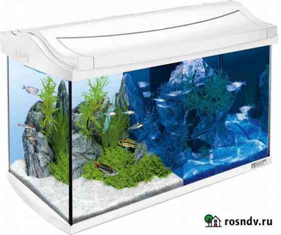 Tetra AquaArt Discover Line аквариум 60литров Красноярск