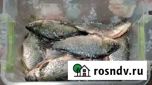 Карась Курган - изображение 1