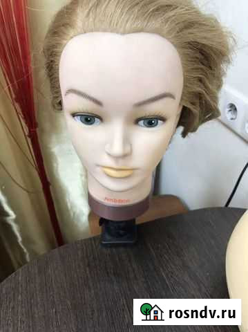 Учебная голова Новокузнецк - изображение 1