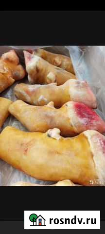 Лакомства для собак,еда,корм Елизово - изображение 1