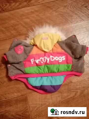 Куртка, жилетка для собаки Нижний Тагил - изображение 1