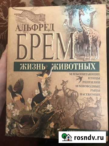 Книга Альфред Брем Жизнь животных Саянск - изображение 1