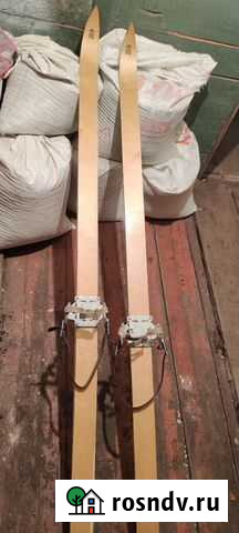 Лесные лыжи Североморск - изображение 1