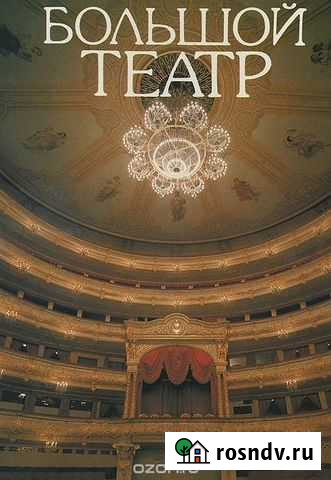 Э. Бочарникова, Большой театр Воскресенск - изображение 1