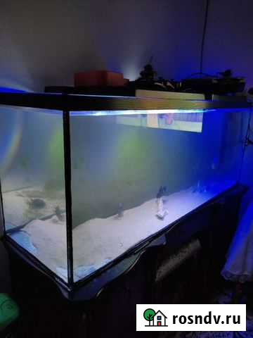 Аквариум Хасавюрт - изображение 1