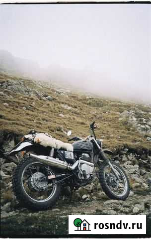 Honda CL 400 1998 Москва - изображение 1