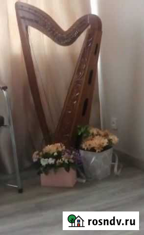 Арфа Ростов-на-Дону - изображение 1