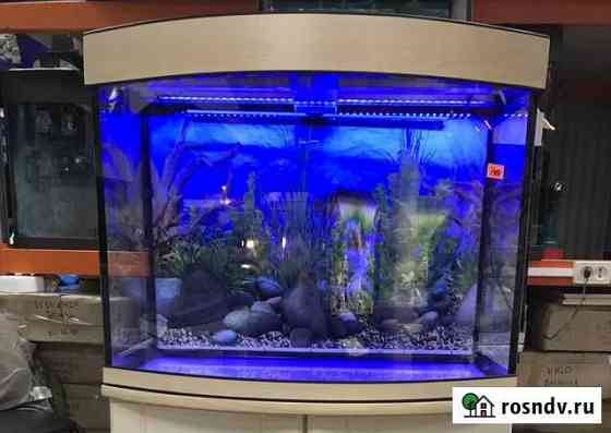Аквариум 140 листров панорамный. Новый. Гарантия 5 Москва