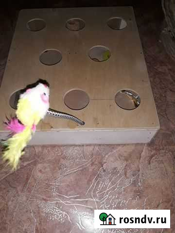 Игрушка для кота Новочеркасск - изображение 1