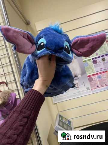 Зимняя одежда для собак, жилетки, попоны Воронеж - изображение 1