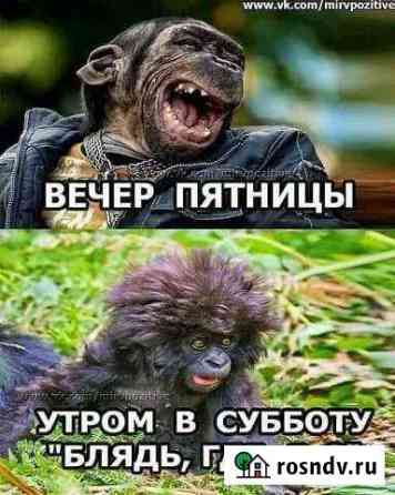 Ваш Друг Пермь