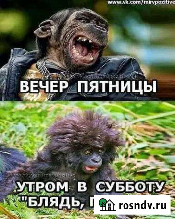 Ваш Друг Пермь - изображение 1