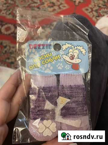 Носки для собаки новые Саратов - изображение 1