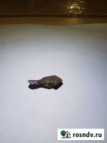 Метеорит Сихотэ-алинь - 6 гр Владимир - изображение 1