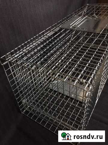 Кошколовка Хабаровск - изображение 1