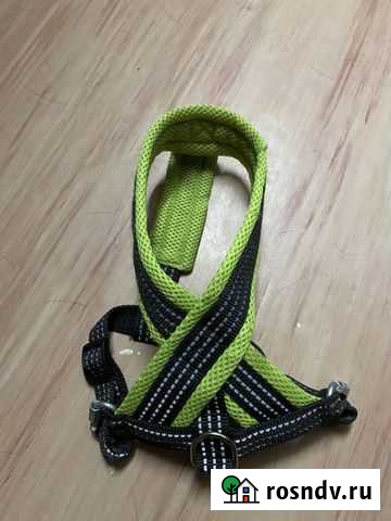 Шлейка для собаки Рязань - изображение 1