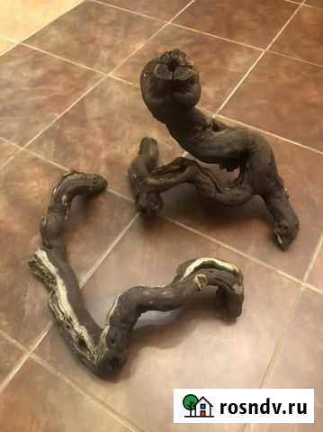 Коряги для аквариума, террариума Лобня - изображение 1