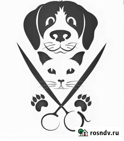 Стрижка собак и кошек Гурьевск - изображение 1