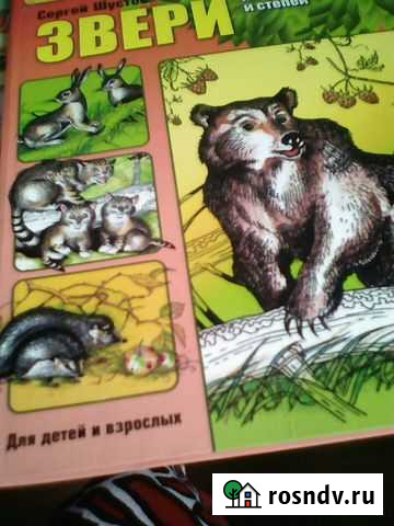 Книга,энциклопедия Великий Новгород - изображение 1