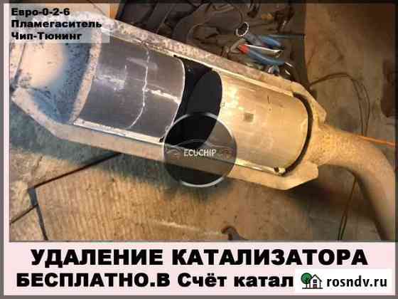 Удаление катализатора бесплатно Евро-2 Тамбов