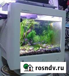 Аквариум/террариум из тв и монитора Хабаровск - изображение 1