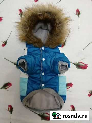Тёплая одежка для собачки Анапская - изображение 1